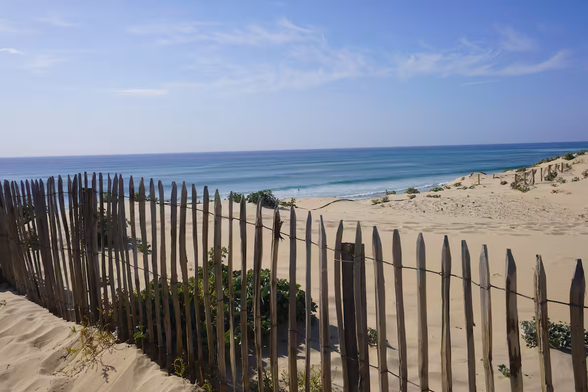 Dunes de Mimizan face à l’océan