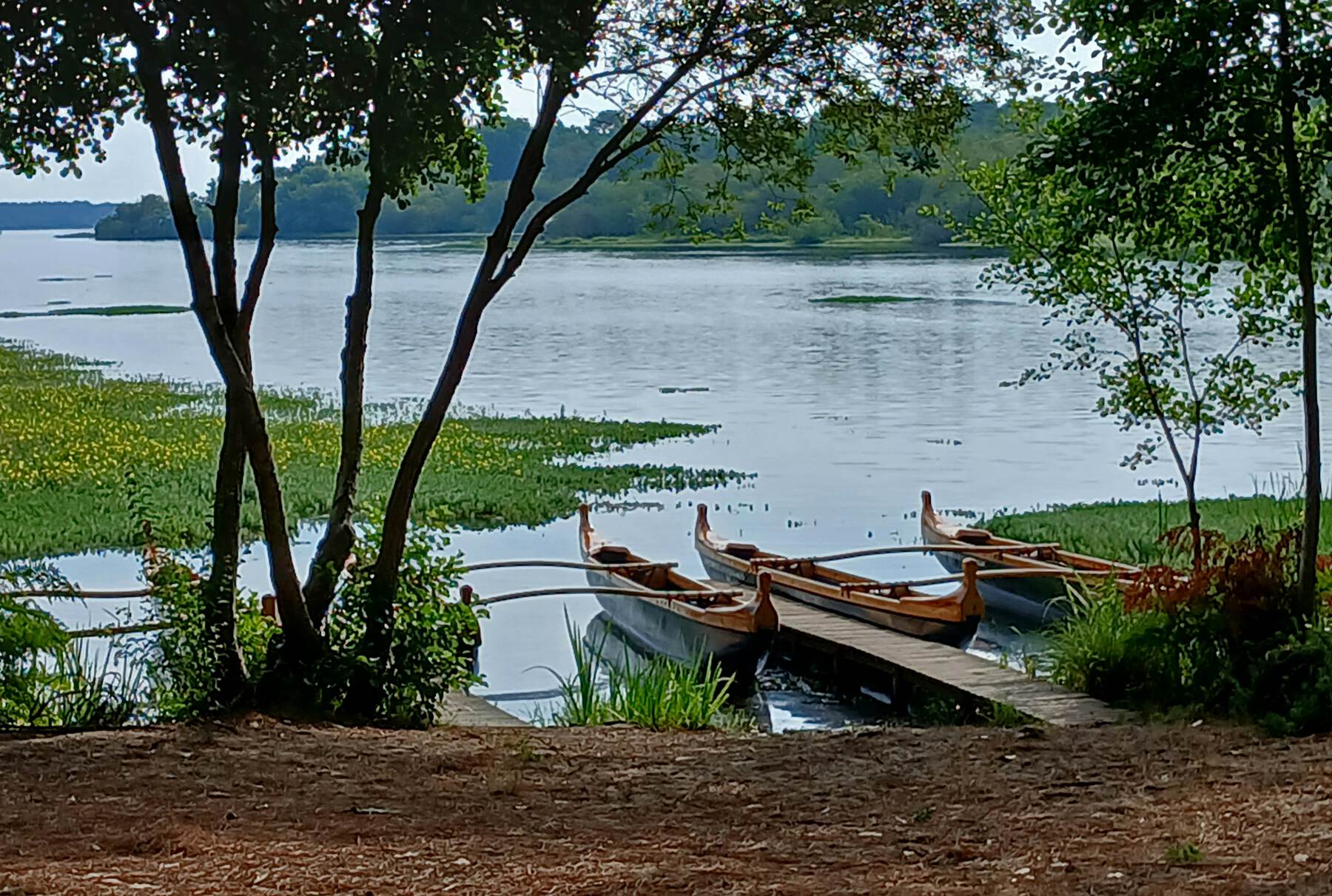 Pirogues sur le lac d’Aureilhan
