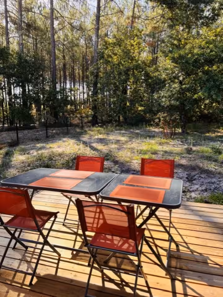 Terrasse sous les pins
